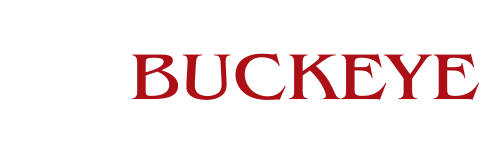 Buckeye Educational Systems Logo